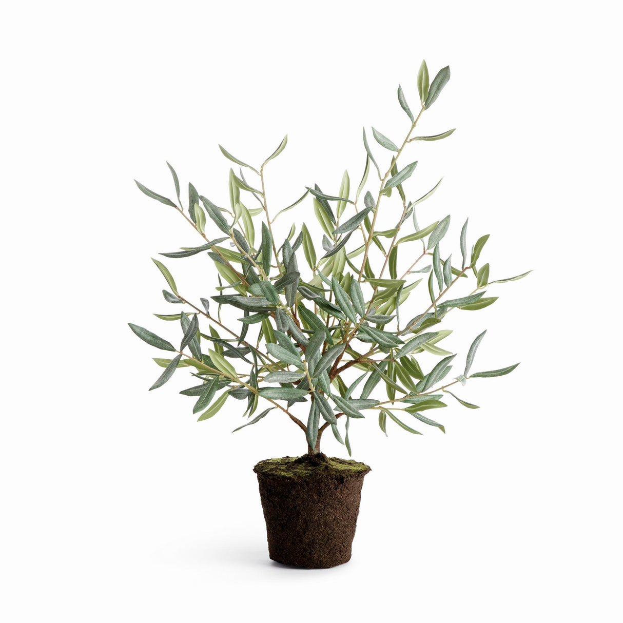 Napa Green OLIVE MINI TREE DROP-IN 26"