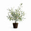Napa Green OLIVE MINI TREE DROP-IN 26"