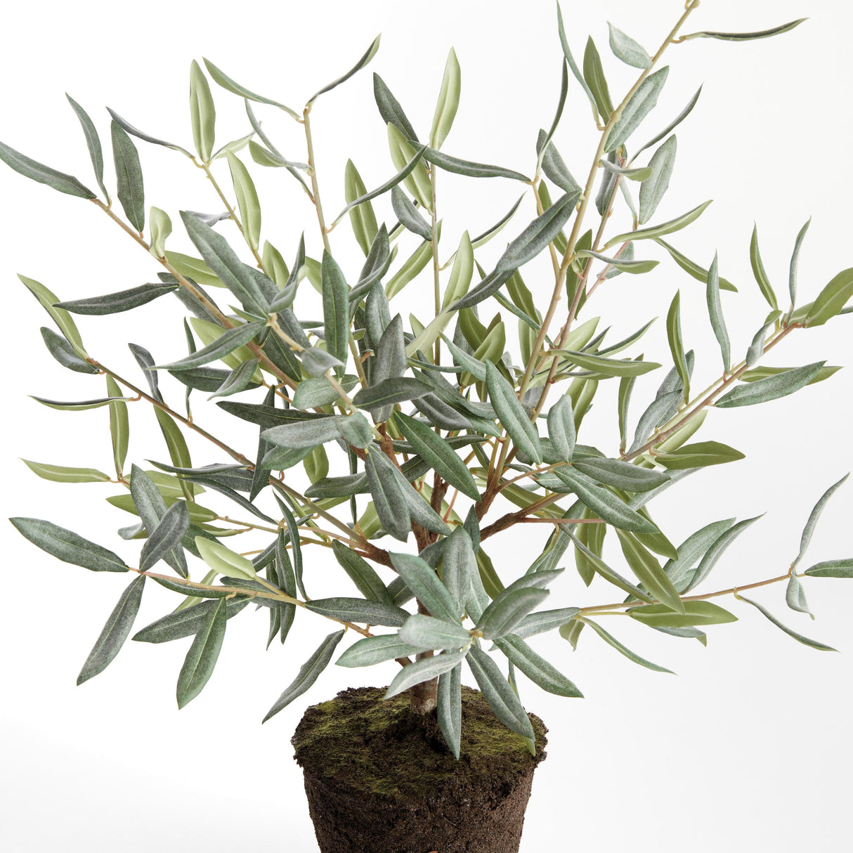Napa Green OLIVE TREE DROP-IN 26"