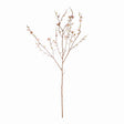 Napa Pink PINK QUINCE BLOSSOM BRANCHES 54", SET OF 2