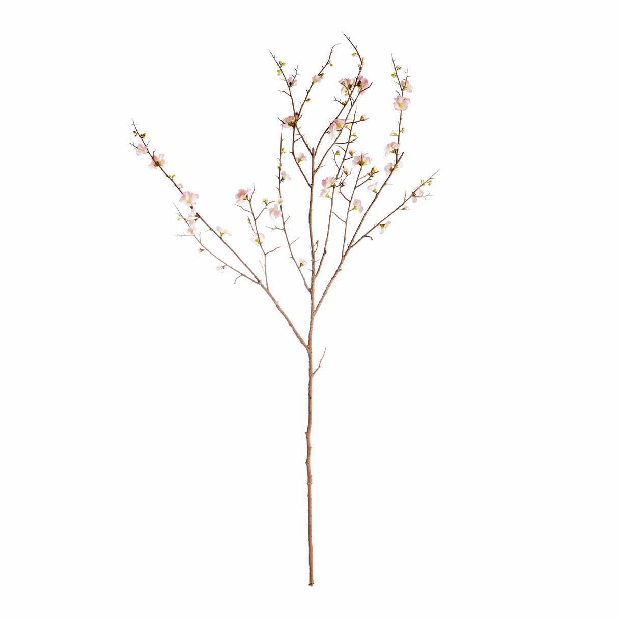 Napa Pink PINK QUINCE BLOSSOM BRANCHES 54", SET OF 2