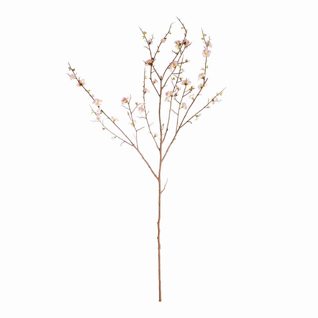 Napa Pink PINK QUINCE BLOSSOM BRANCHES 54", SET OF 2