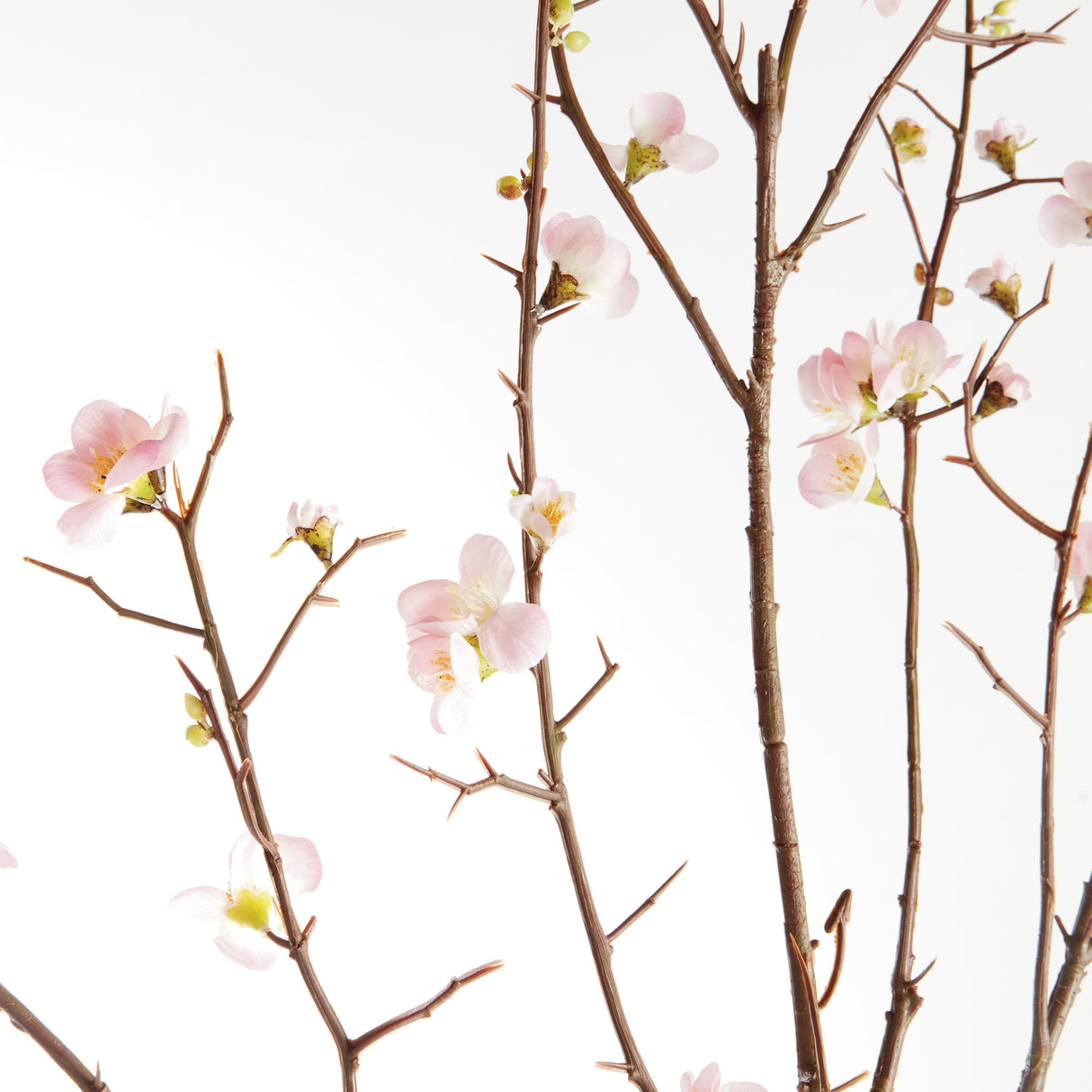 Napa Pink PINK QUINCE BLOSSOM BRANCHES 54", SET OF 2