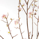 Napa Pink PINK QUINCE BLOSSOM BRANCHES 54", SET OF 2