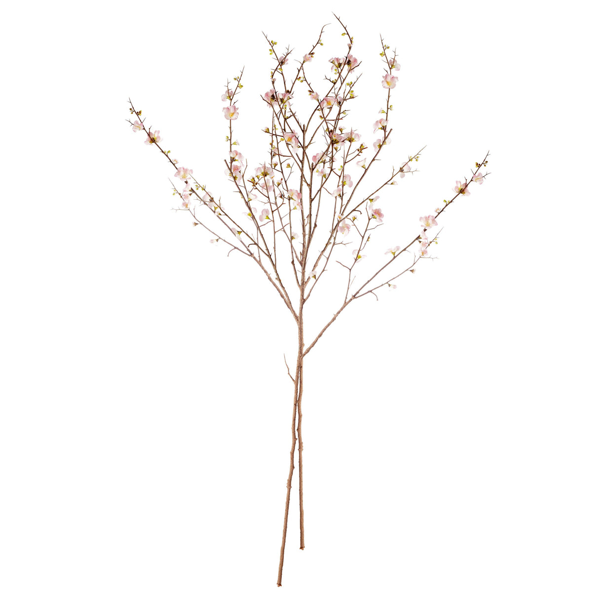 Napa Pink PINK QUINCE BLOSSOM BRANCHES 54", SET OF 2