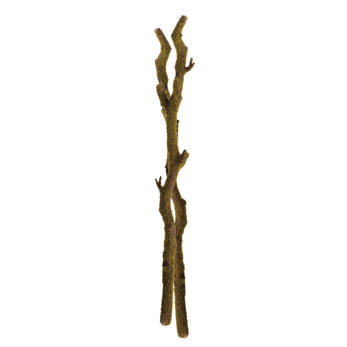 Napa Green MOSS BRANCHES 24", SET OF 2