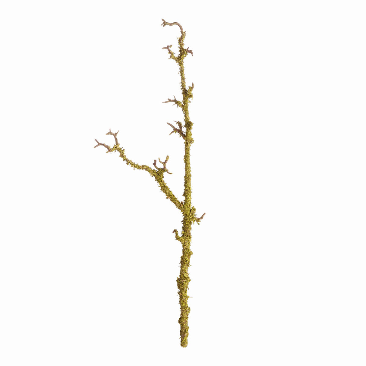 Napa Green LICHEN BRANCHES 28", SET OF 2