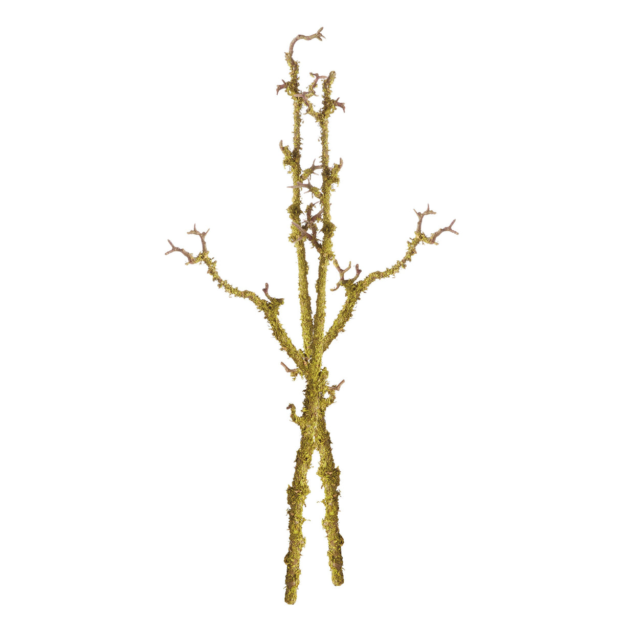 Napa Green LICHEN BRANCHES 28", SET OF 2