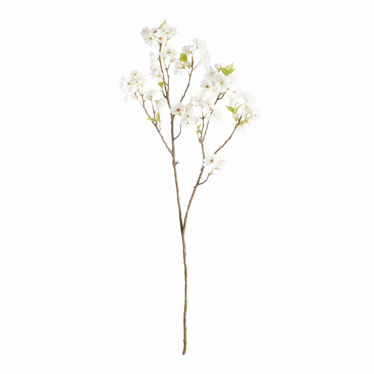 Napa White DOUBLE CHERRY BLOSSOM BRANCHES 46", SET OF 2
