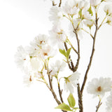 Napa White DOUBLE CHERRY BLOSSOM BRANCHES 46", SET OF 2