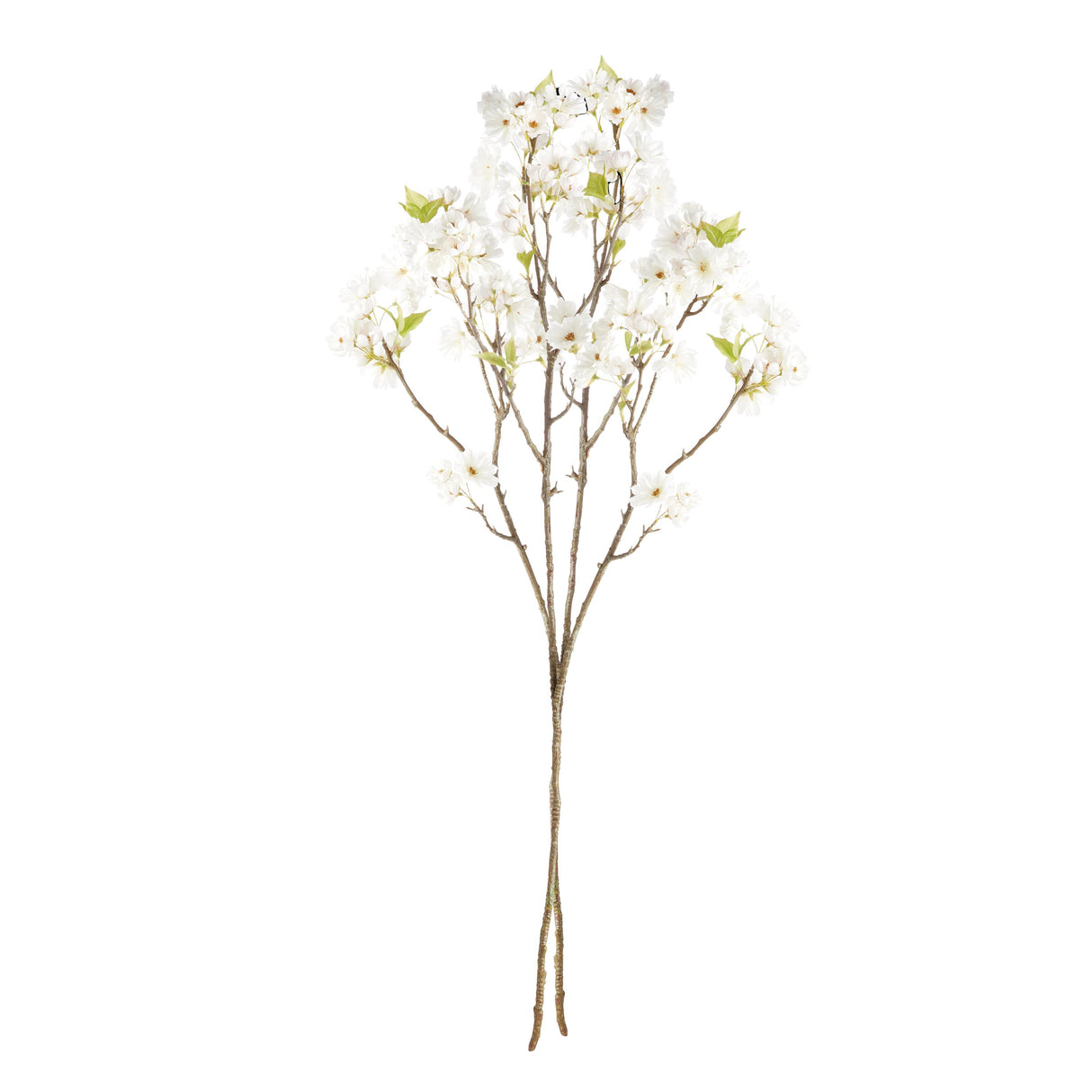 Napa White DOUBLE CHERRY BLOSSOM BRANCHES 46", SET OF 2