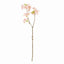 Napa Pink DOUBLE CHERRY BLOSSOM STEMS 28", SET OF 6