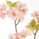 Napa Pink DOUBLE CHERRY BLOSSOM STEMS 28", SET OF 6