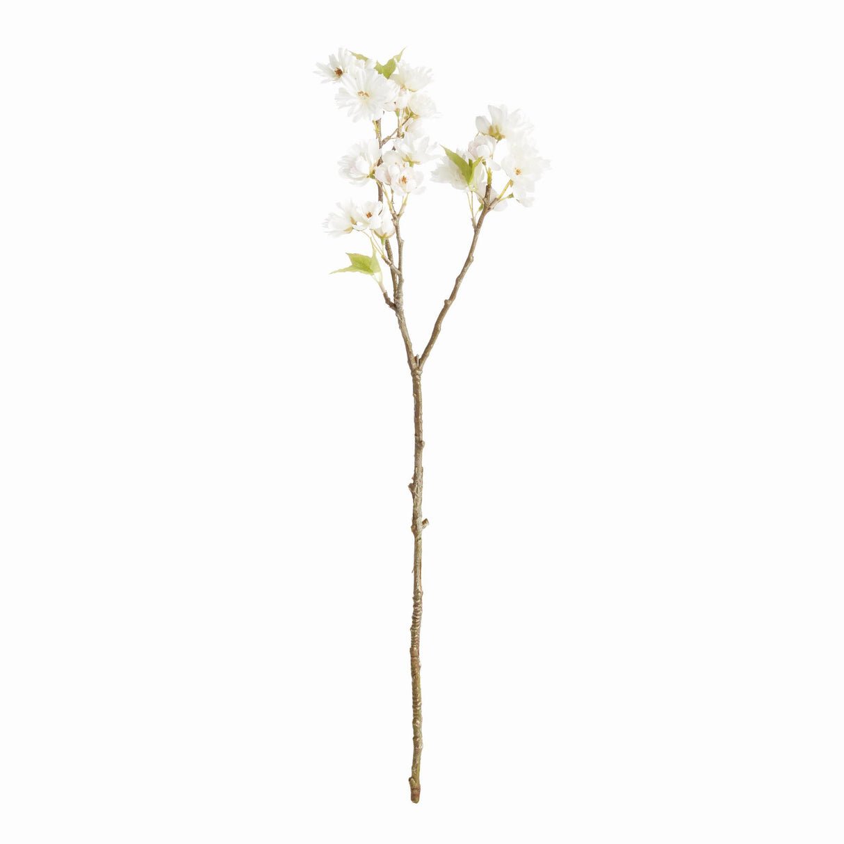 Napa White DOUBLE CHERRY BLOSSOM STEMS 28", SET OF 6