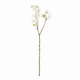 Napa White DOUBLE CHERRY BLOSSOM STEMS 28", SET OF 6