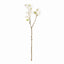Napa White DOUBLE CHERRY BLOSSOM STEMS 28", SET OF 6
