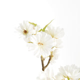 Napa White DOUBLE CHERRY BLOSSOM STEMS 28", SET OF 6