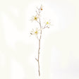 Napa Cream STAR MAGNOLIA BRANCHES 32", SET OF 6