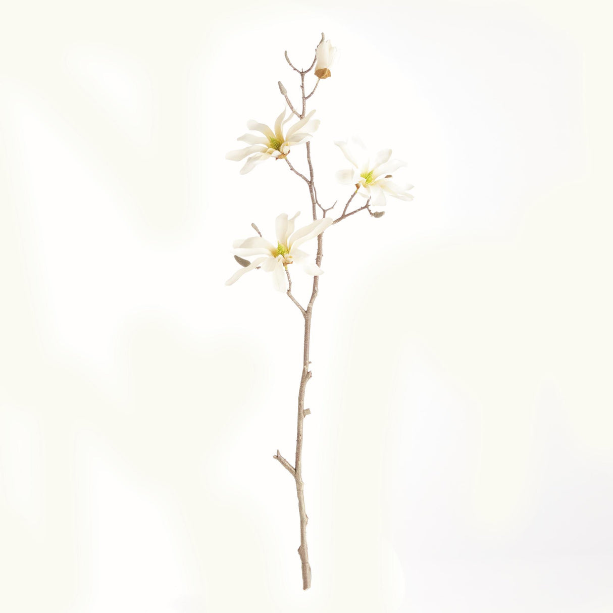 Napa Cream STAR MAGNOLIA BRANCHES 32", SET OF 6