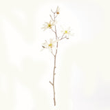 Napa Cream STAR MAGNOLIA BRANCHES 32", SET OF 6