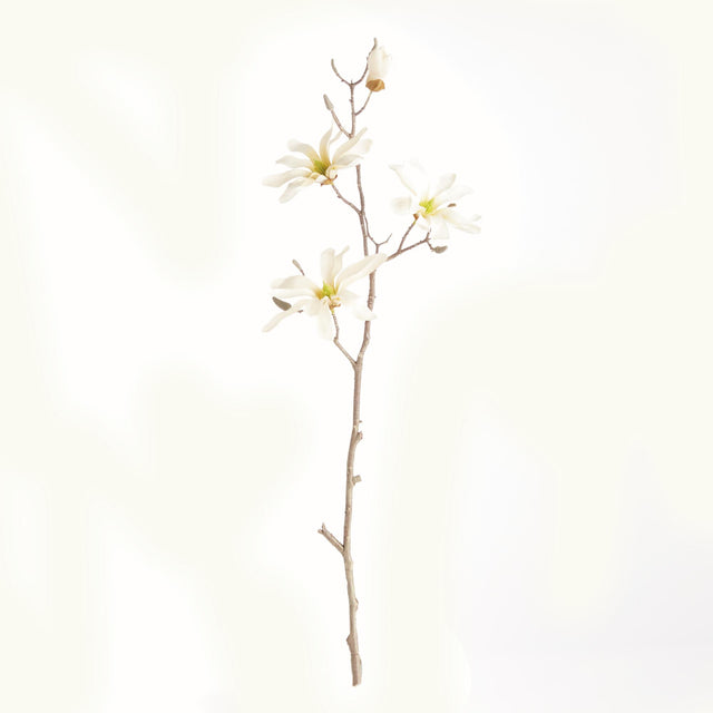 Napa Cream STAR MAGNOLIA BRANCHES 32", SET OF 6