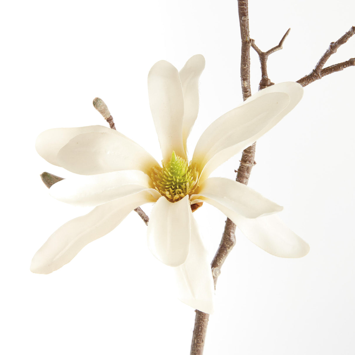 Napa Cream STAR MAGNOLIA BRANCHES 32", SET OF 6