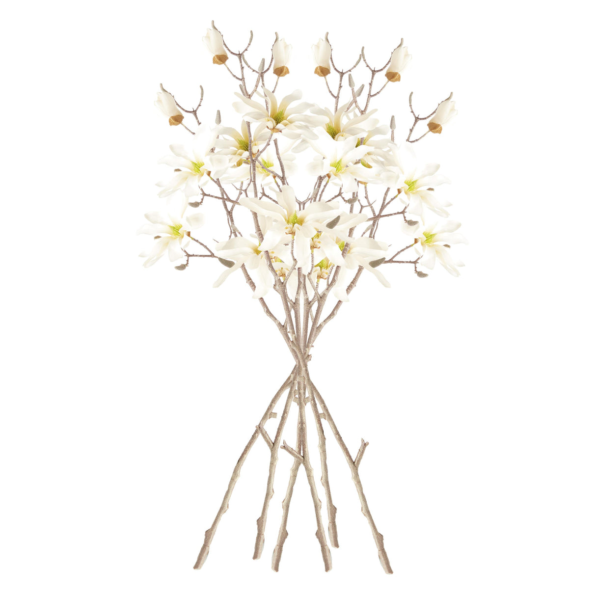 Napa Cream STAR MAGNOLIA BRANCHES 32", SET OF 6