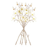 Napa Cream STAR MAGNOLIA BRANCHES 32", SET OF 6