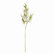Napa Green PLUMOSA STEMS, SET OF 6