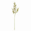 Napa Green PLUMOSA STEMS, SET OF 6