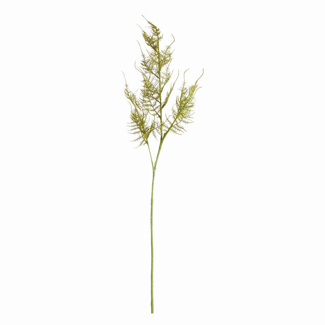 Napa Green PLUMOSA STEMS, SET OF 6