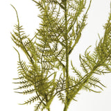 Napa Green PLUMOSA STEMS, SET OF 6