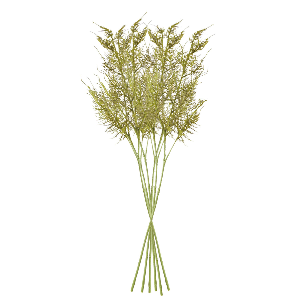 Napa Green PLUMOSA STEMS, SET OF 6