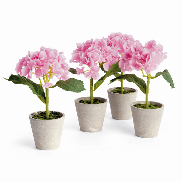 Napa Pink MINI HYDRANGEA POTTED 8", SET OF 4