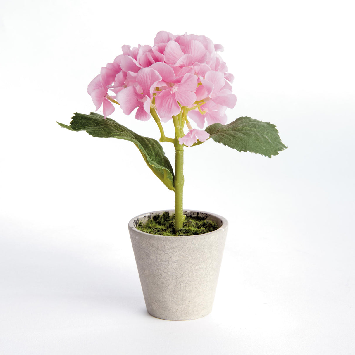 Napa Pink MINI HYDRANGEA POTTED 8", SET OF 4