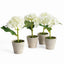 Napa White MINI HYDRANGEA POTTED 8", SET OF 4