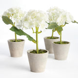 Napa White MINI HYDRANGEA POTTED 8", SET OF 4