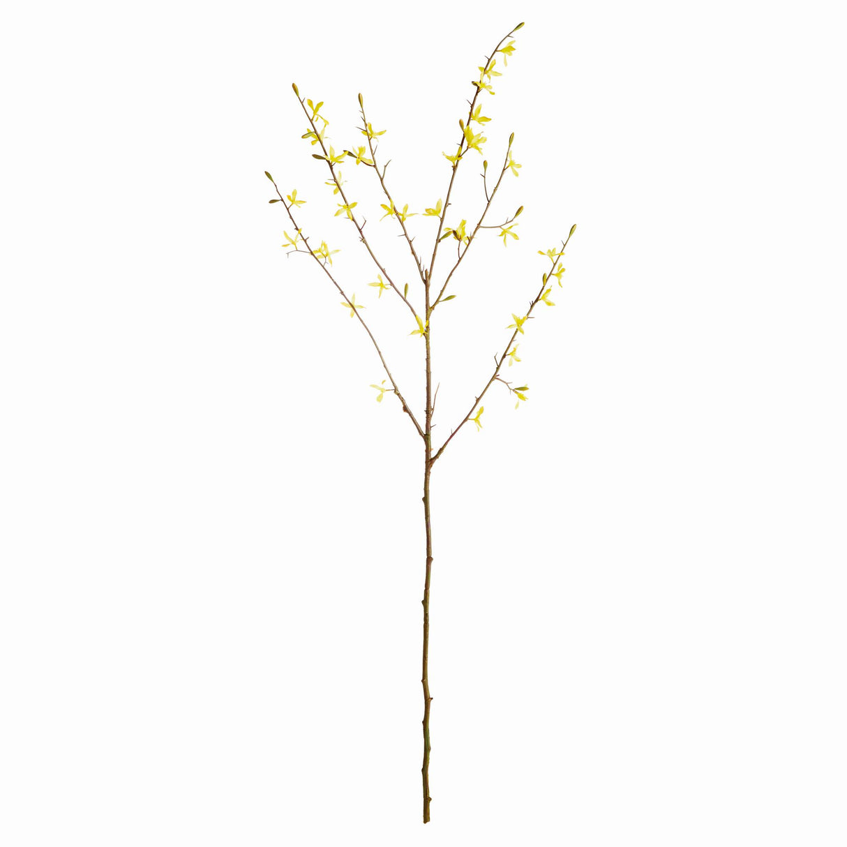 Napa Yellow FORSYTHIA STEMS 47", SET OF 6