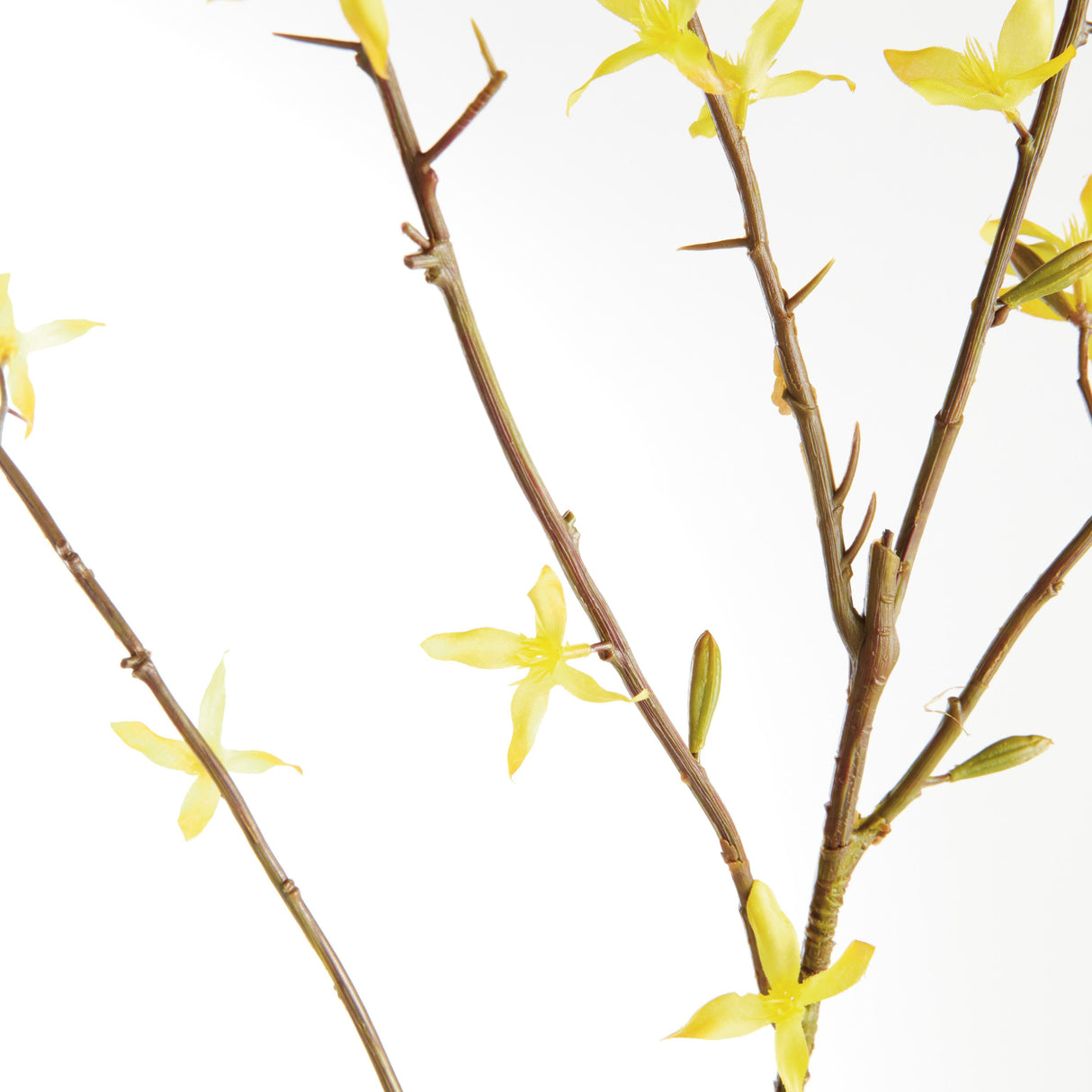 Napa Yellow FORSYTHIA STEMS 47", SET OF 6