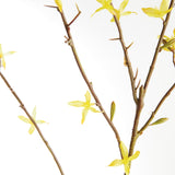 Napa Yellow FORSYTHIA STEMS 47", SET OF 6