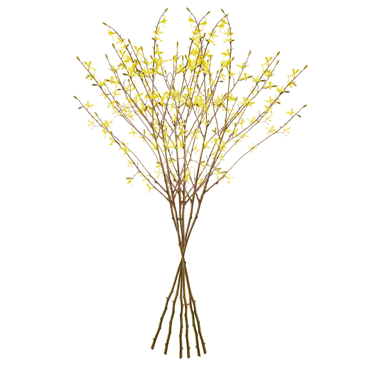 Napa Yellow FORSYTHIA STEMS 47", SET OF 6