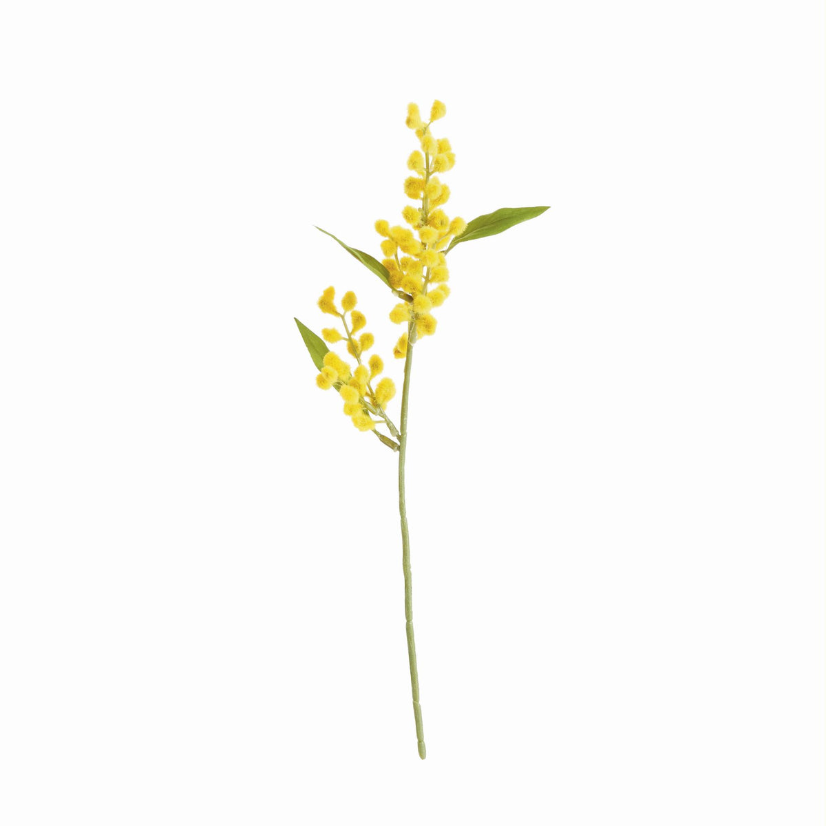 Napa Yellow MIMOSA CUTTINGS 11", SET OF 12