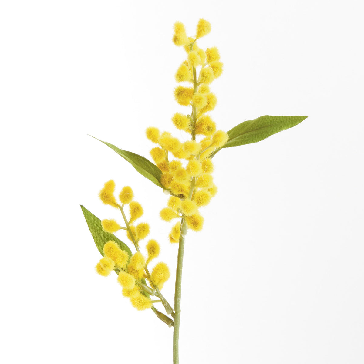 Napa Yellow MIMOSA CUTTINGS 11", SET OF 12