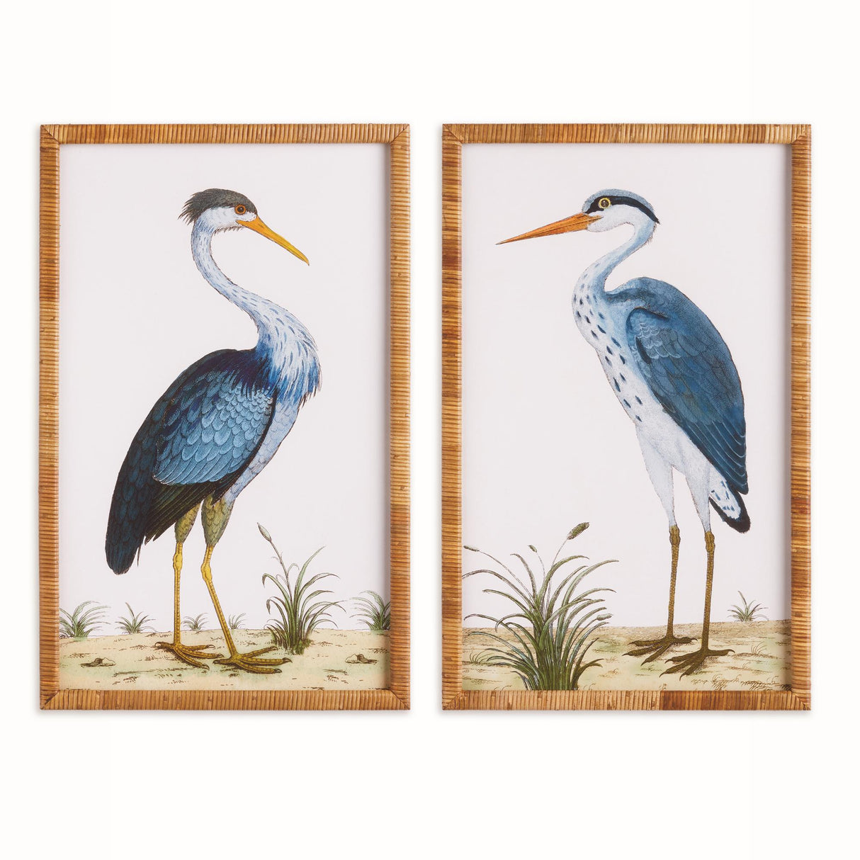 Napa Rattan wrapped frame HANDSOME HERON PAIR PRINTS, SET OF 2