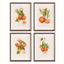Napa Includes mat CITRIS CUTTINGS STUDY, SET OF 4