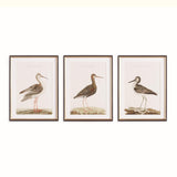 Napa Includes mat WANDERING BIRDS STUDY, SET OF 3