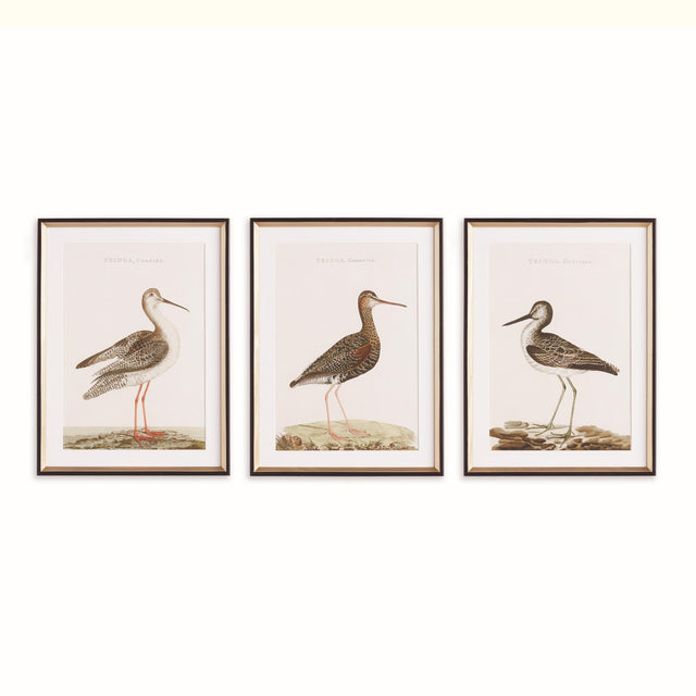 Napa Includes mat WANDERING BIRDS STUDY, SET OF 3