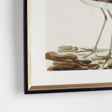 Napa Includes mat WANDERING BIRDS STUDY, SET OF 3