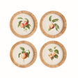 Napa Rattan wrapped frame PEACH CUTTINGS ROUND PETITE PRINTS, SET OF 4