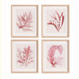 Napa Includes mat WATERCOLOR SEAWEED PRINTS, SET OF 4